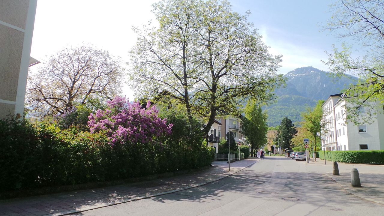 Frühlingstrasse Blick auf Predigtstuhl Frühlingstrasse Blick auf Predigtstuhl